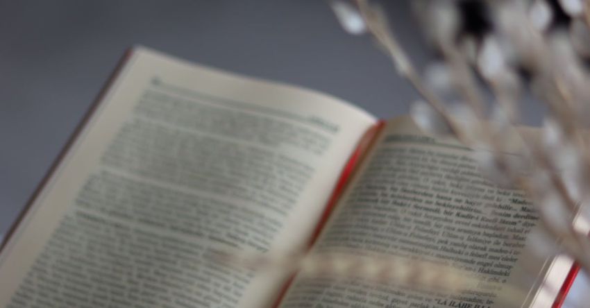 Landing Pages - A book is open on a table with a plant in the background