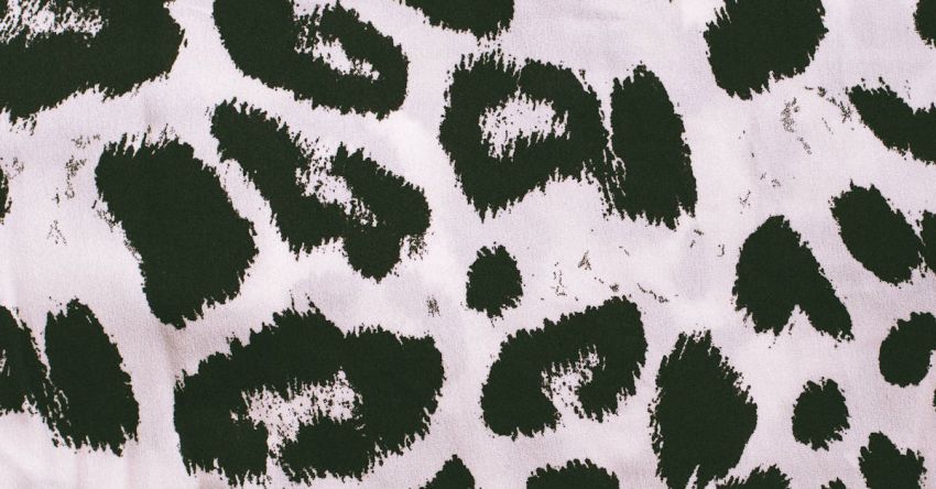 Print Materials - Detail of fabric with animal print